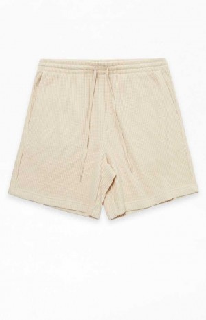 Short PacSun Cream Waffle Knit Volley Hombre Creme | VFNXR3967