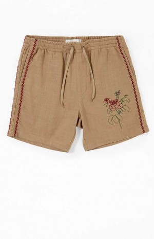 Short PacSun Embroidered Linen Volley Hombre Marrones | GOHKF4815