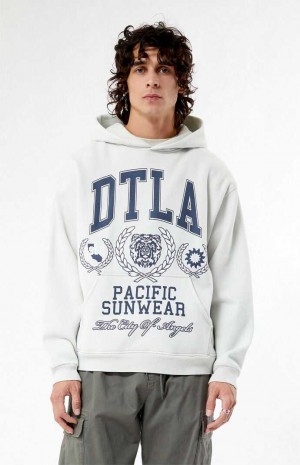 Sudadera con Capucha PacSun Pacific Sunwear DTLA Collegiate Hombre Blancas | NQRKC2418