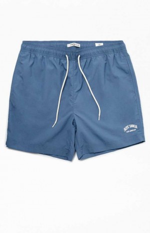 Suéteres PacSun Blue Nylon Collegiate 6.5" Swim Trunks Hombre Azules | LPONI2678