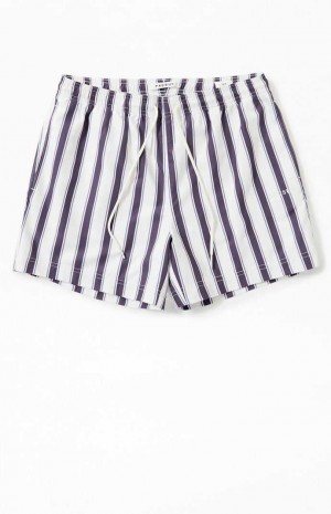 Suéteres PacSun Charcoal Stripe 4.5 Swim Trunks Hombre Gris | UEBQF5267