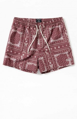 Suéteres PacSun Recycled Bandana Block 4.5" Swim Trunks Hombre Marrones | AKBWT7539