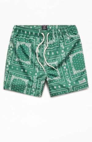 Suéteres PacSun Recycled Bandana Block Green 4.5" Swim Trunks Hombre Verde | XNLRE8590