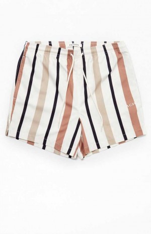 Suéteres PacSun Stripe 4.5" Swim Trunks Hombre Multicolor | VFICQ8156