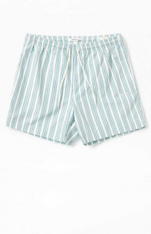 Suéteres PacSun Stripe 4.5" Swim Trunks Hombre Verde | QDFAR9483