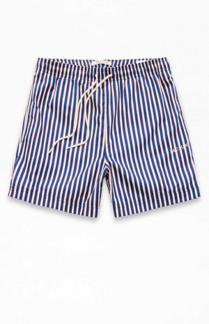 Suéteres PacSun Stripe 4.5" Swim Trunks Hombre Azules | ETARF8426