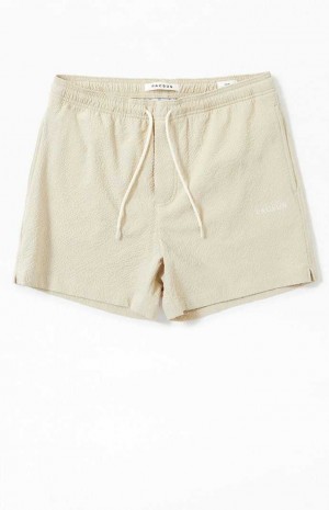 Suéteres PacSun Tan Sail Seersucker 4.5" Swim Trunks Hombre Marrones | TJWCX9874