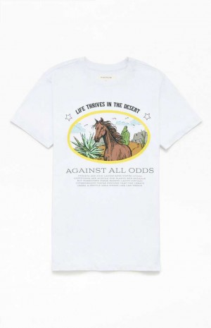 T-shirt PacSun Against All Odds Hombre Blancas | REGXC5896