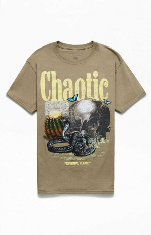 T-shirt PacSun Chaotic Hombre Kaki | BJYOD6795