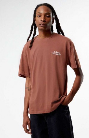 T-shirt PacSun Eco A Taste of Heaven Embroidered Hombre MINK | BXDNK7325