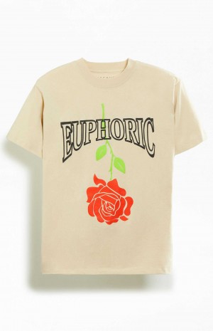 T-shirt PacSun Euphoric Hombre Kaki | ZNAIT6021