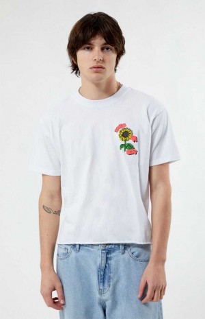 T-shirt PacSun Express Ya Self Cropped Hombre Blancas | NUYSH8651