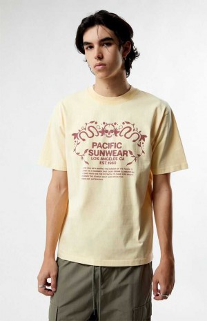 T-shirt PacSun Pacific Sunwear Behind The Horizons Hombre Marrones | IQHBY8435