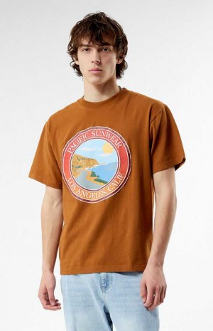 T-shirt PacSun Pacific Sunwear Coastal Hombre Marrones | UBAOI2081