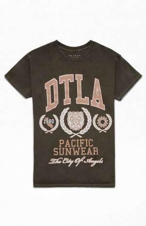 T-shirt PacSun Pacific Sunwear DTLA Hombre Marrones | AILDC2970