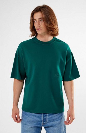 T-shirt PacSun Pine Dive Fleece Hombre Verde Oscuro | HENCI7981