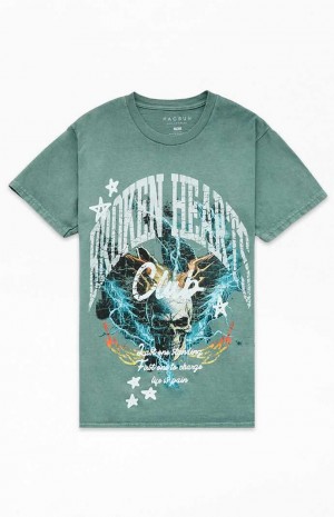 T-shirt PacSun Stonks Hombre Verde Oliva | IOWGP1349