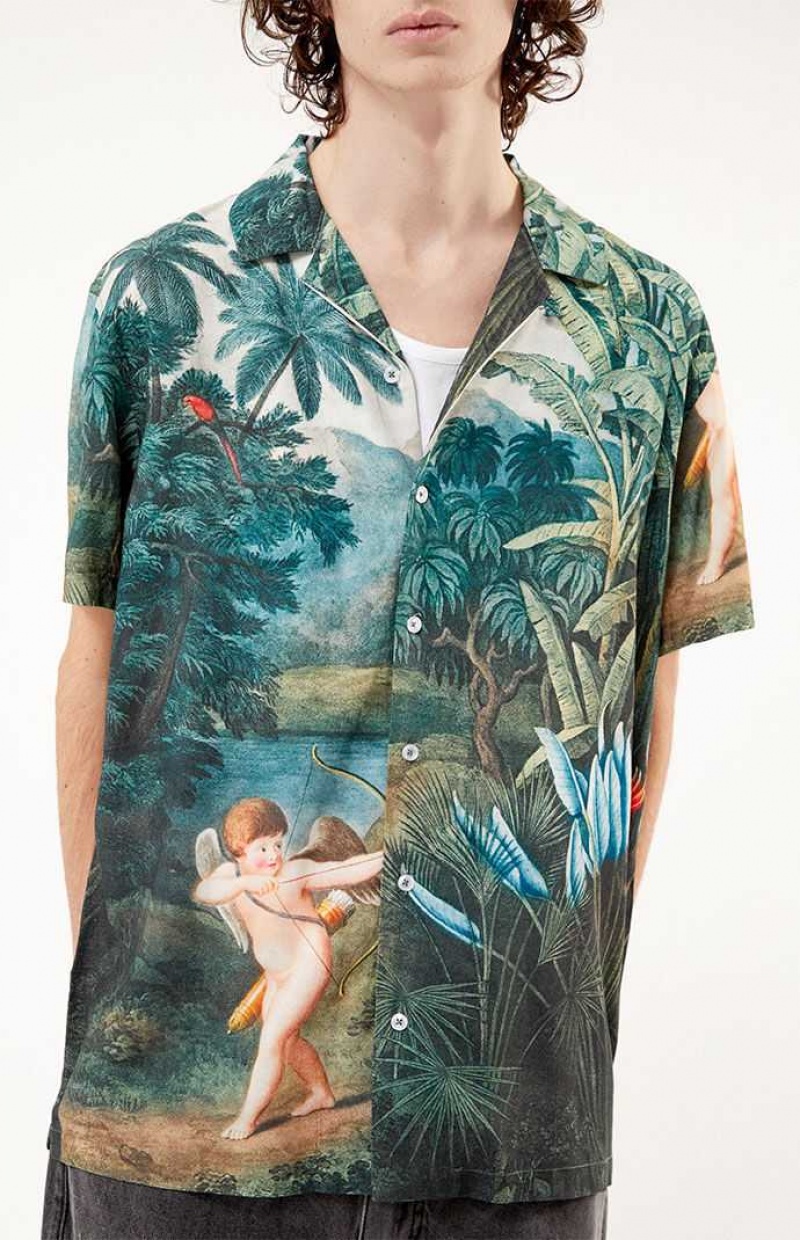 Camisas PacSun Still Life Button Down Hombre Verde | PDNEG8231