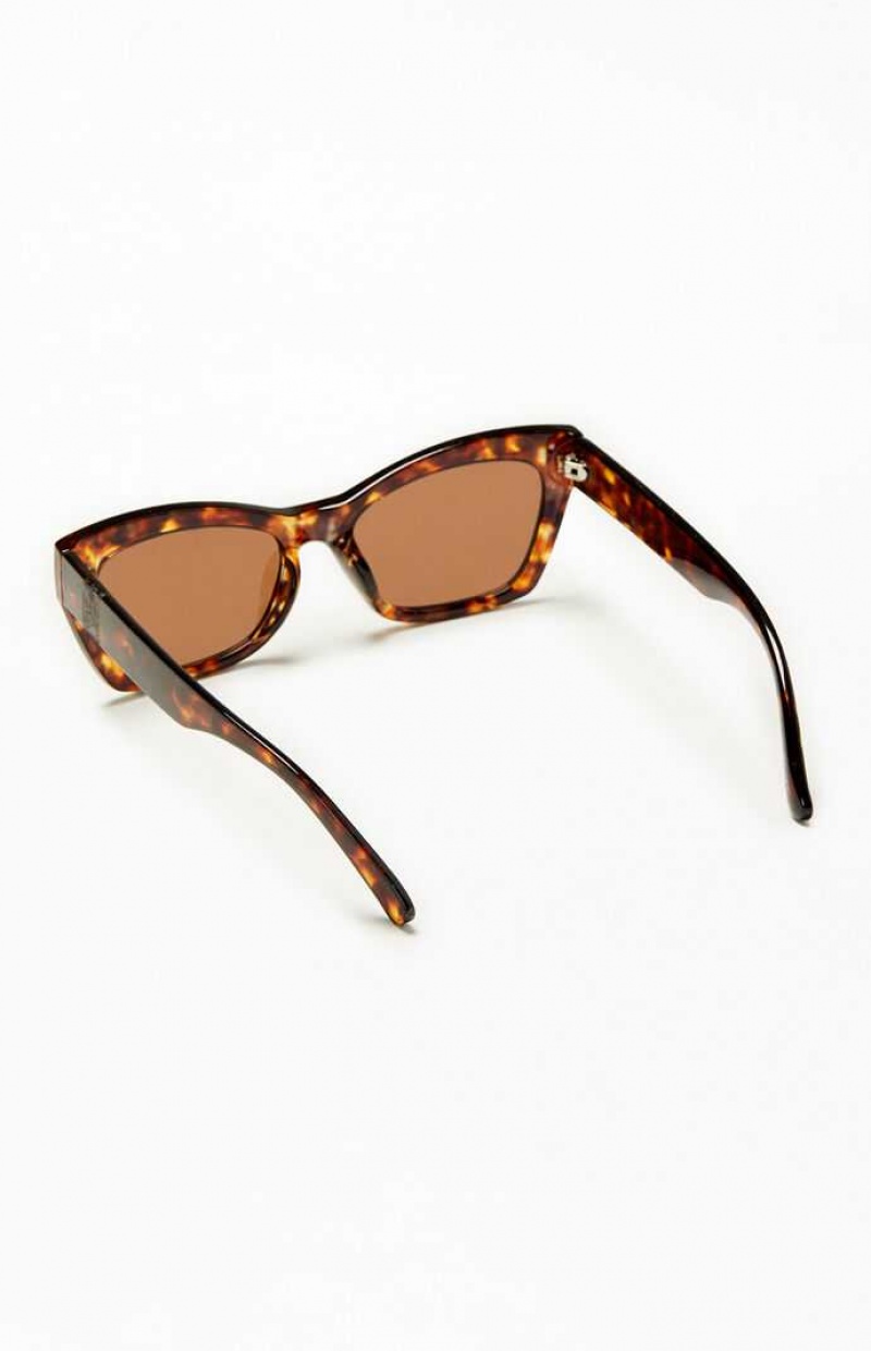 Gafas de Sol PacSun Square Cat Eye Hombre TORTOISE | UXTEV8029