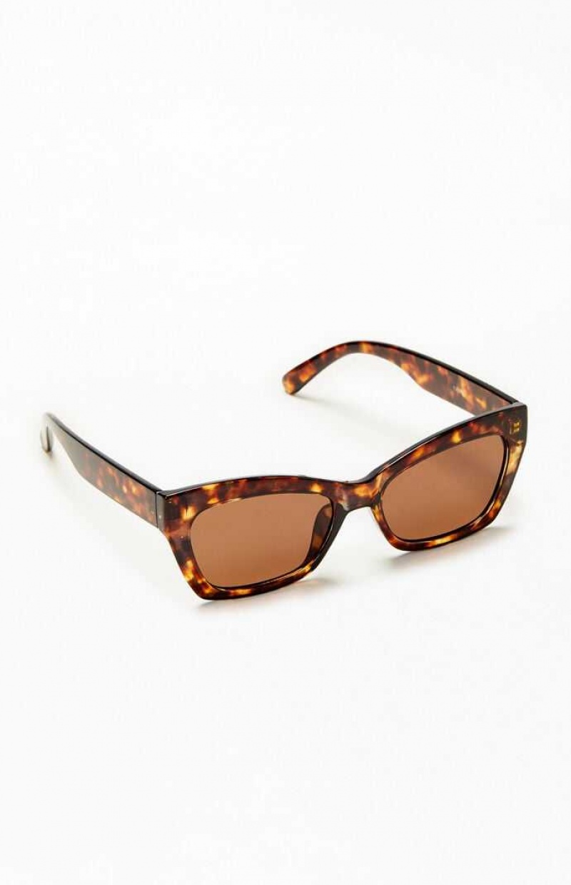 Gafas de Sol PacSun Square Cat Eye Hombre TORTOISE | UXTEV8029