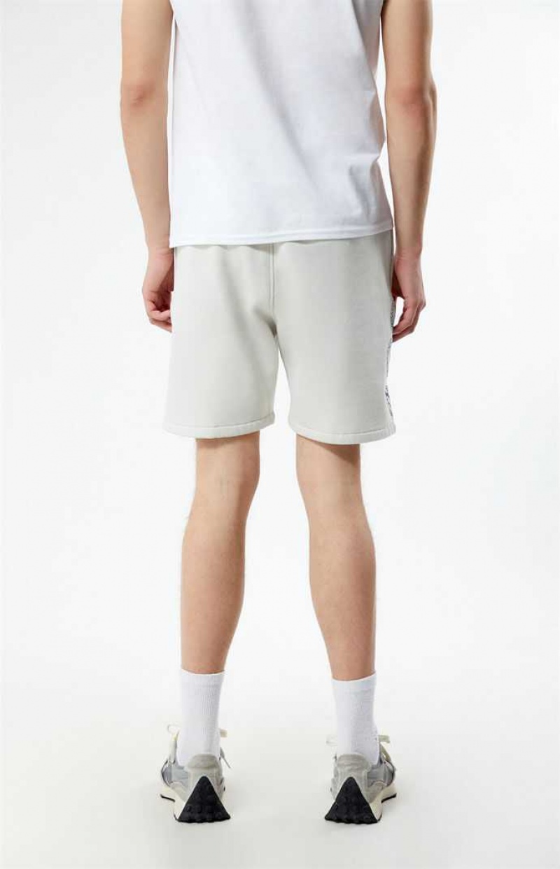 Short PacSun DTLA Pacific Sunwear Fleece Sweat Hombre Blancas | FYPHX2467