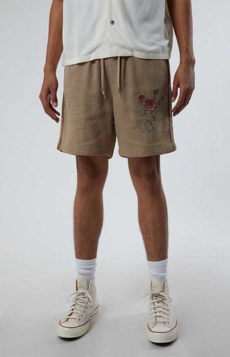 Short PacSun Embroidered Linen Volley Hombre Marrones | GOHKF4815