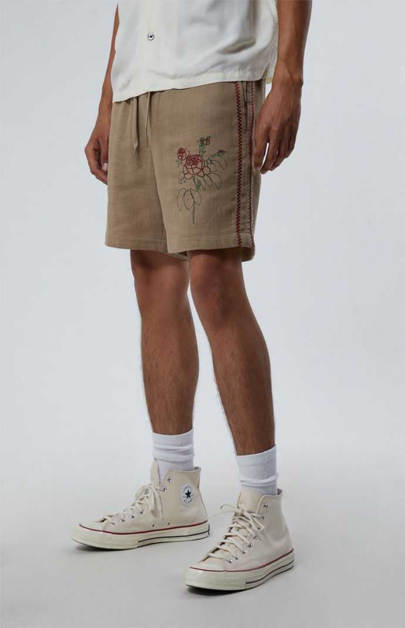 Short PacSun Embroidered Linen Volley Hombre Marrones | GOHKF4815