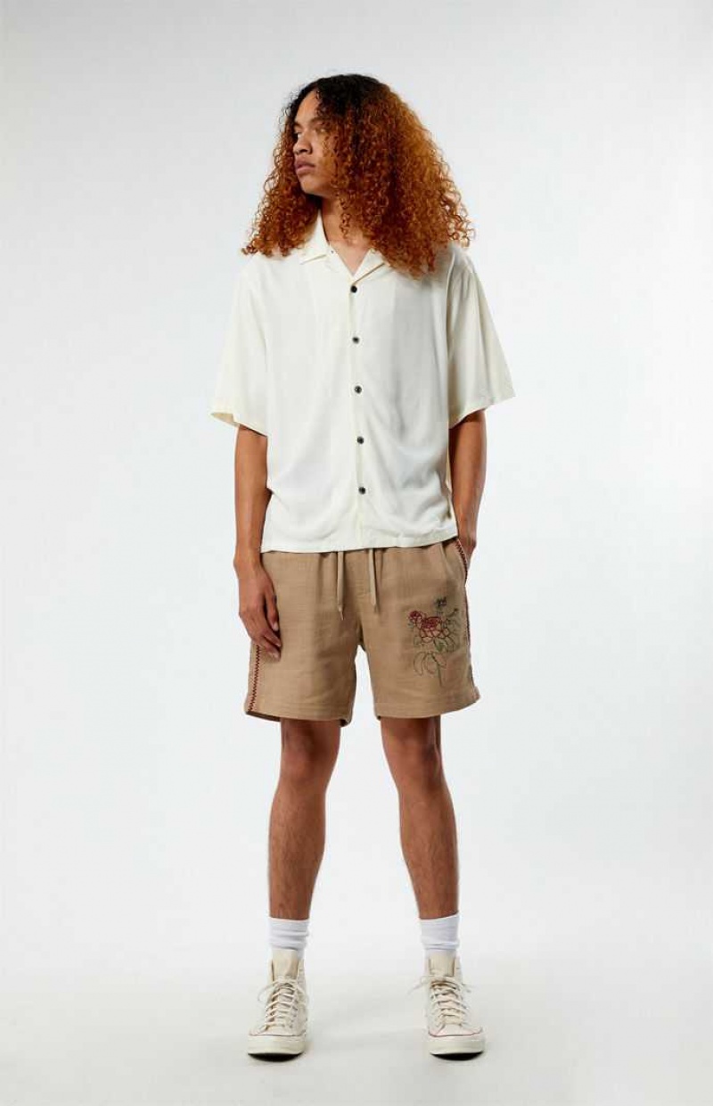 Short PacSun Embroidered Linen Volley Hombre Marrones | GOHKF4815