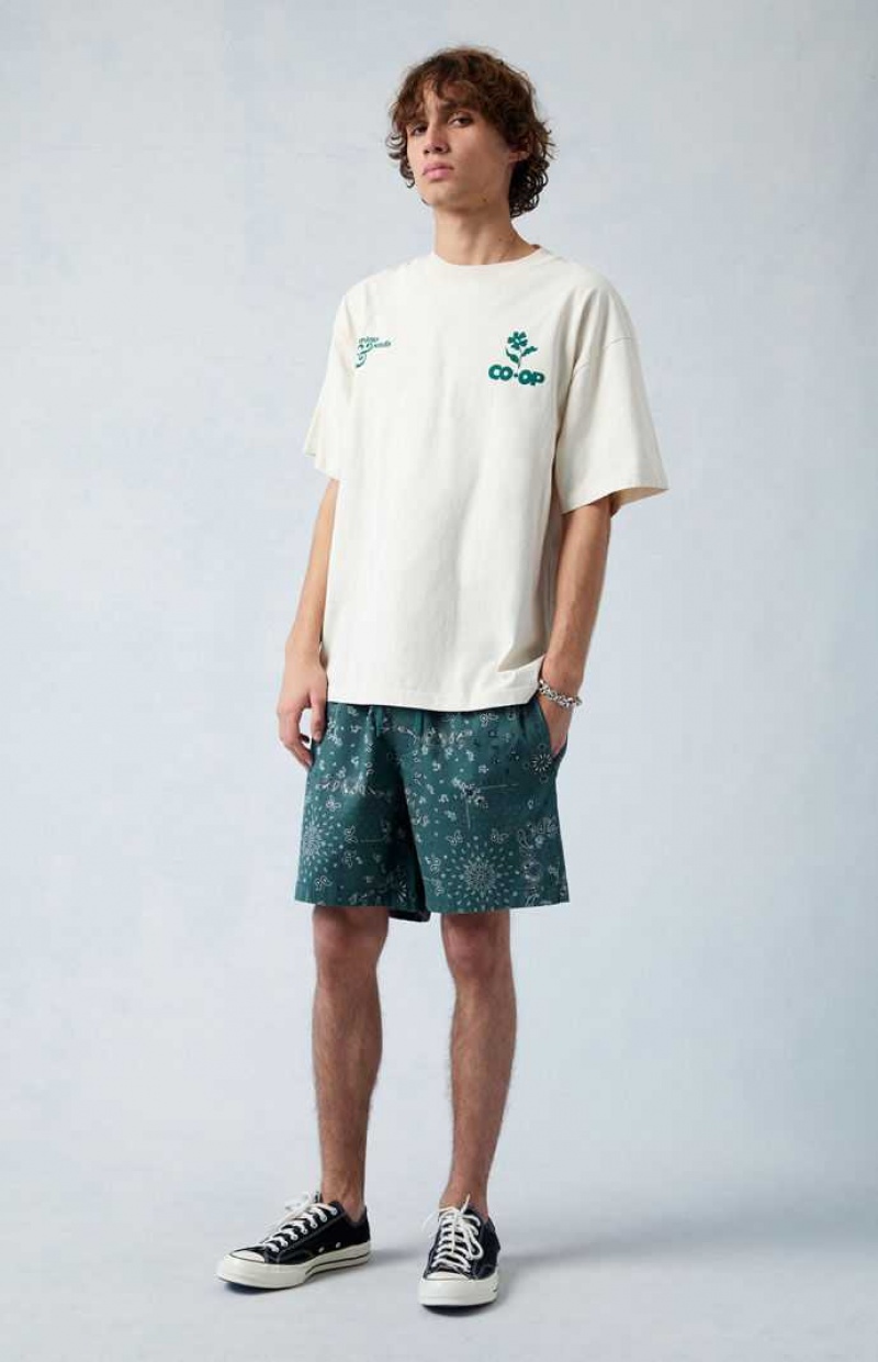 Short PacSun Green Reed Printed Twill Volley Hombre Verde | VCDRA7549