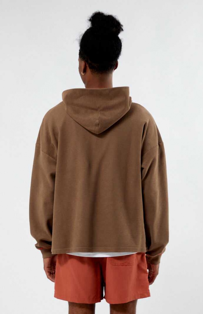 Sudadera con Capucha PacSun Brown Pacific Sunwear Alley Hombre Marrones | HWYXU0427