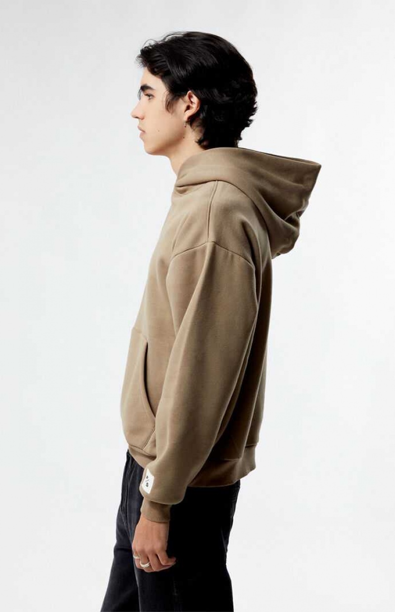 Sudadera con Capucha PacSun Desert Taupe Solid Hombre Gris Marrones | OUHDF1392