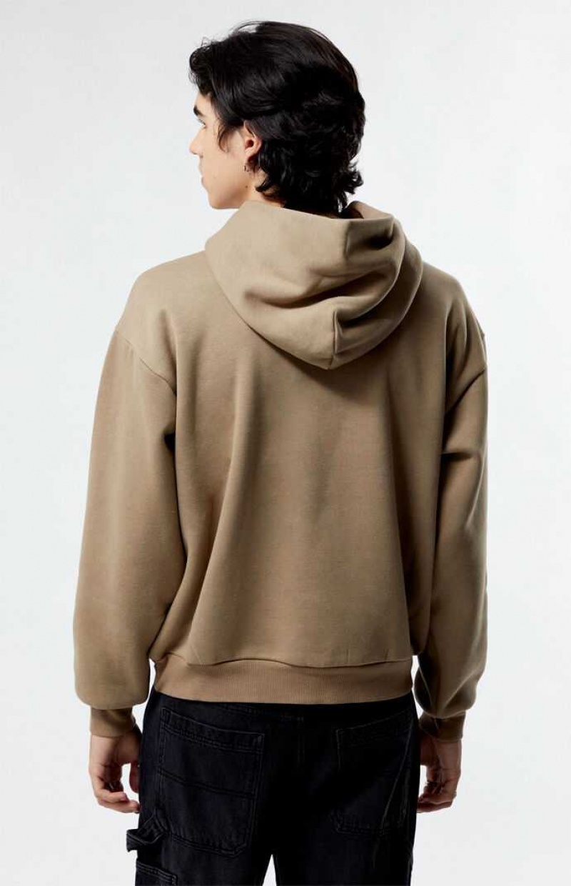 Sudadera con Capucha PacSun Desert Taupe Solid Hombre Gris Marrones | OUHDF1392