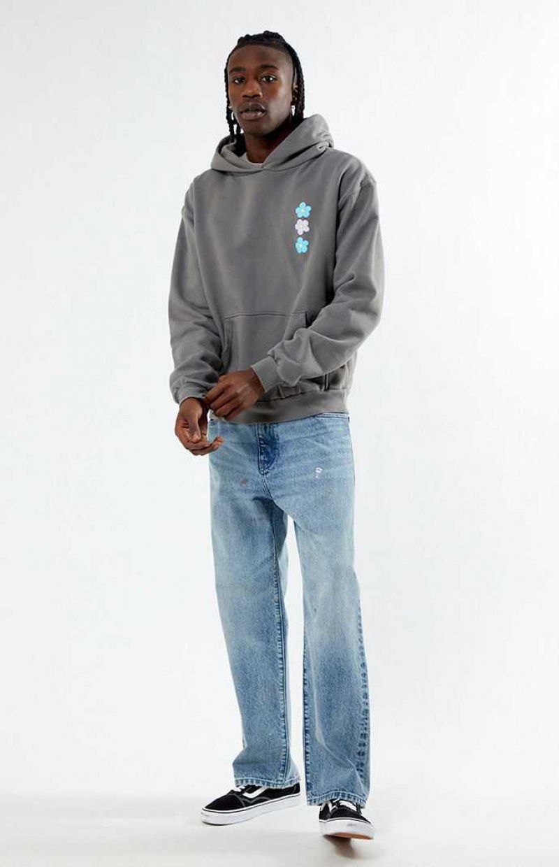 Sudadera con Capucha PacSun Flourish Hombre Gris | XJSOU4612