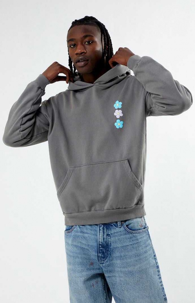 Sudadera con Capucha PacSun Flourish Hombre Gris | XJSOU4612