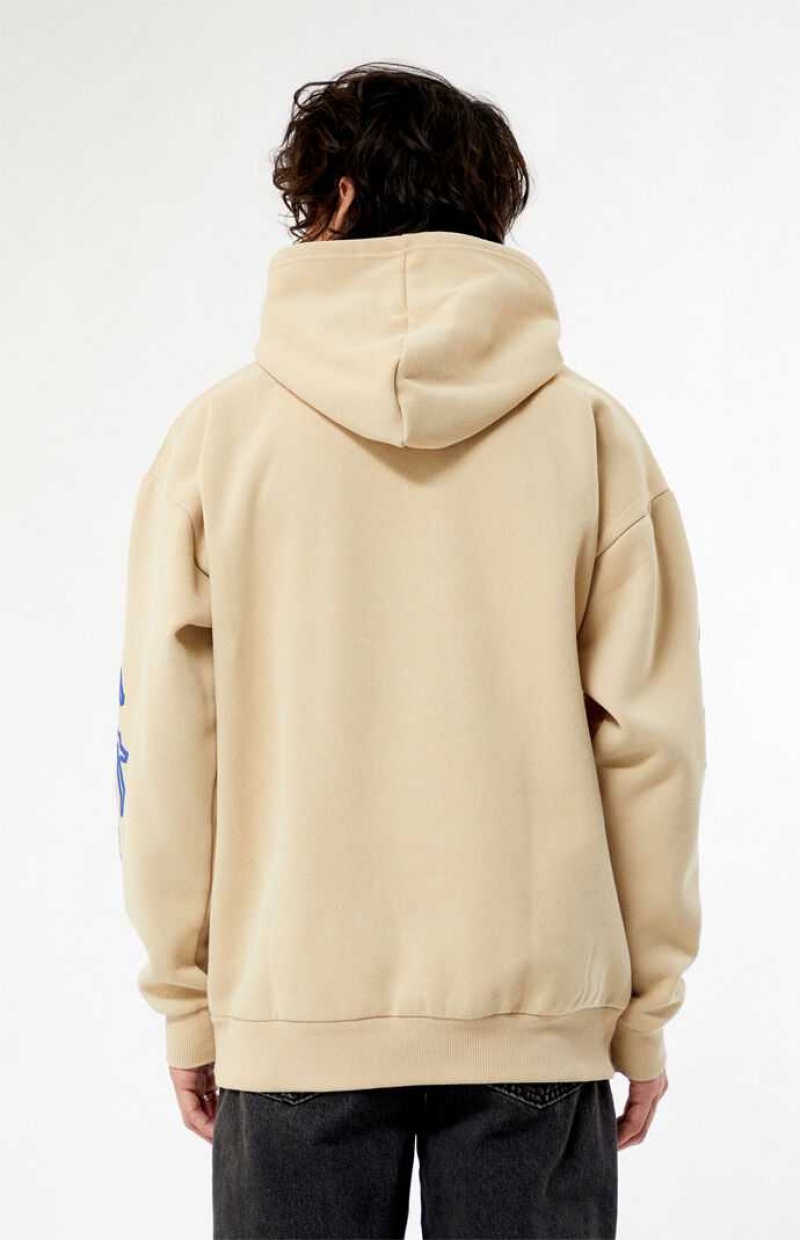 Sudadera con Capucha PacSun Focus On The Present Hombre Marrones | UCKRM6594