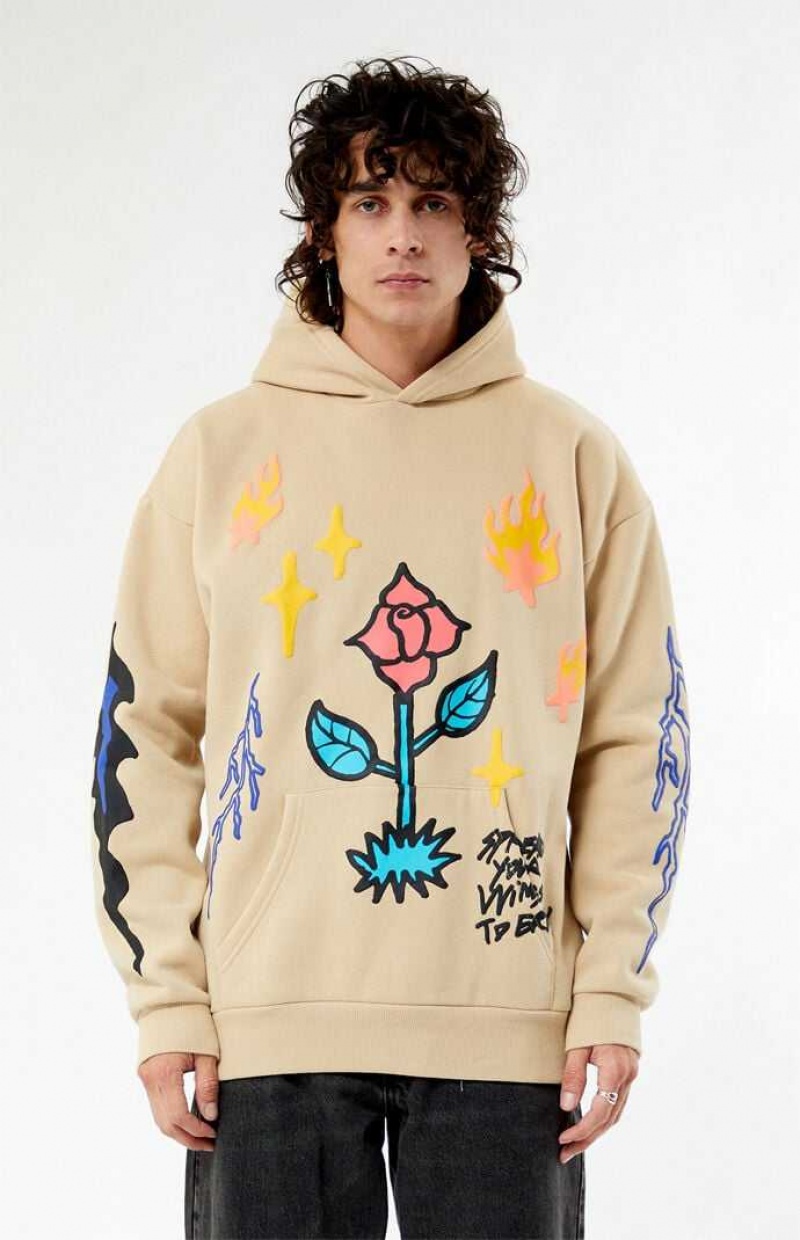 Sudadera con Capucha PacSun Focus On The Present Hombre Marrones | UCKRM6594