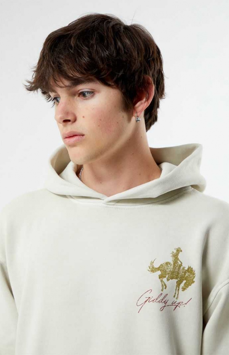 Sudadera con Capucha PacSun Giddy Up Hombre CEMENT | LAHQJ6374