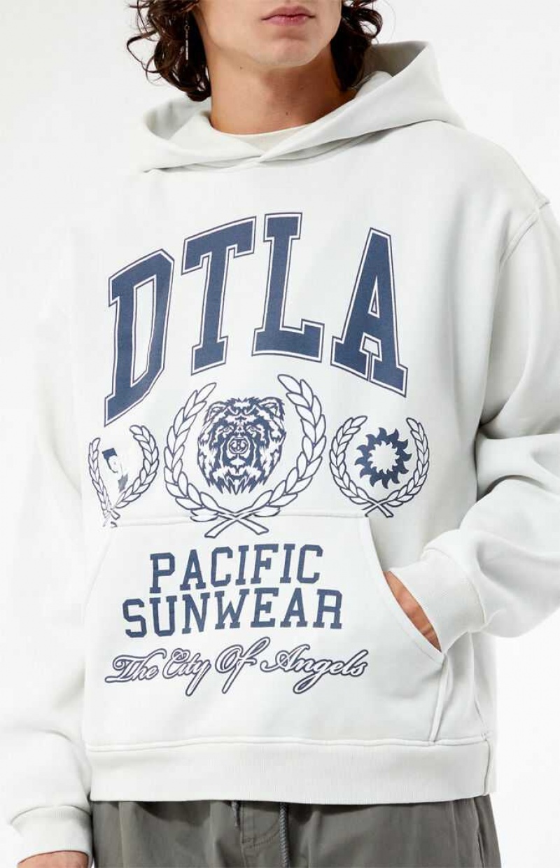 Sudadera con Capucha PacSun Pacific Sunwear DTLA Collegiate Hombre Blancas | NQRKC2418