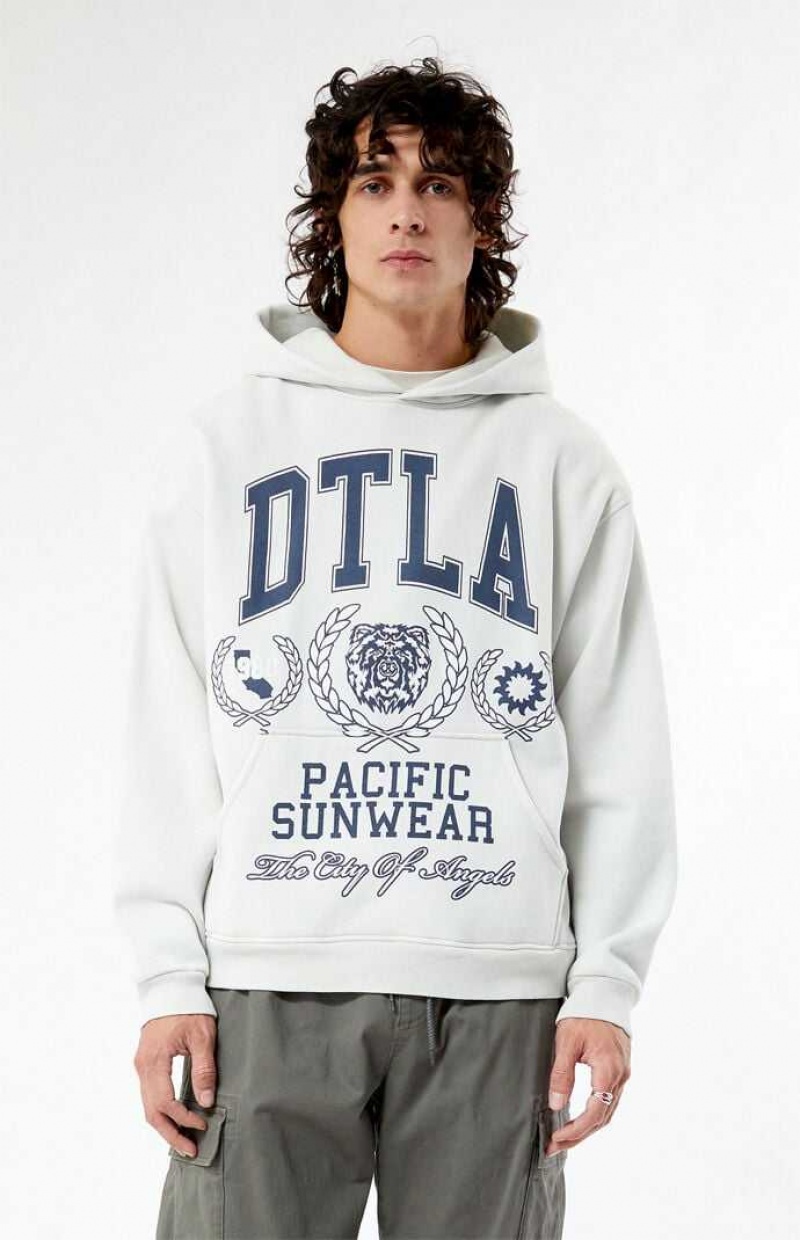 Sudadera con Capucha PacSun Pacific Sunwear DTLA Collegiate Hombre Blancas | NQRKC2418