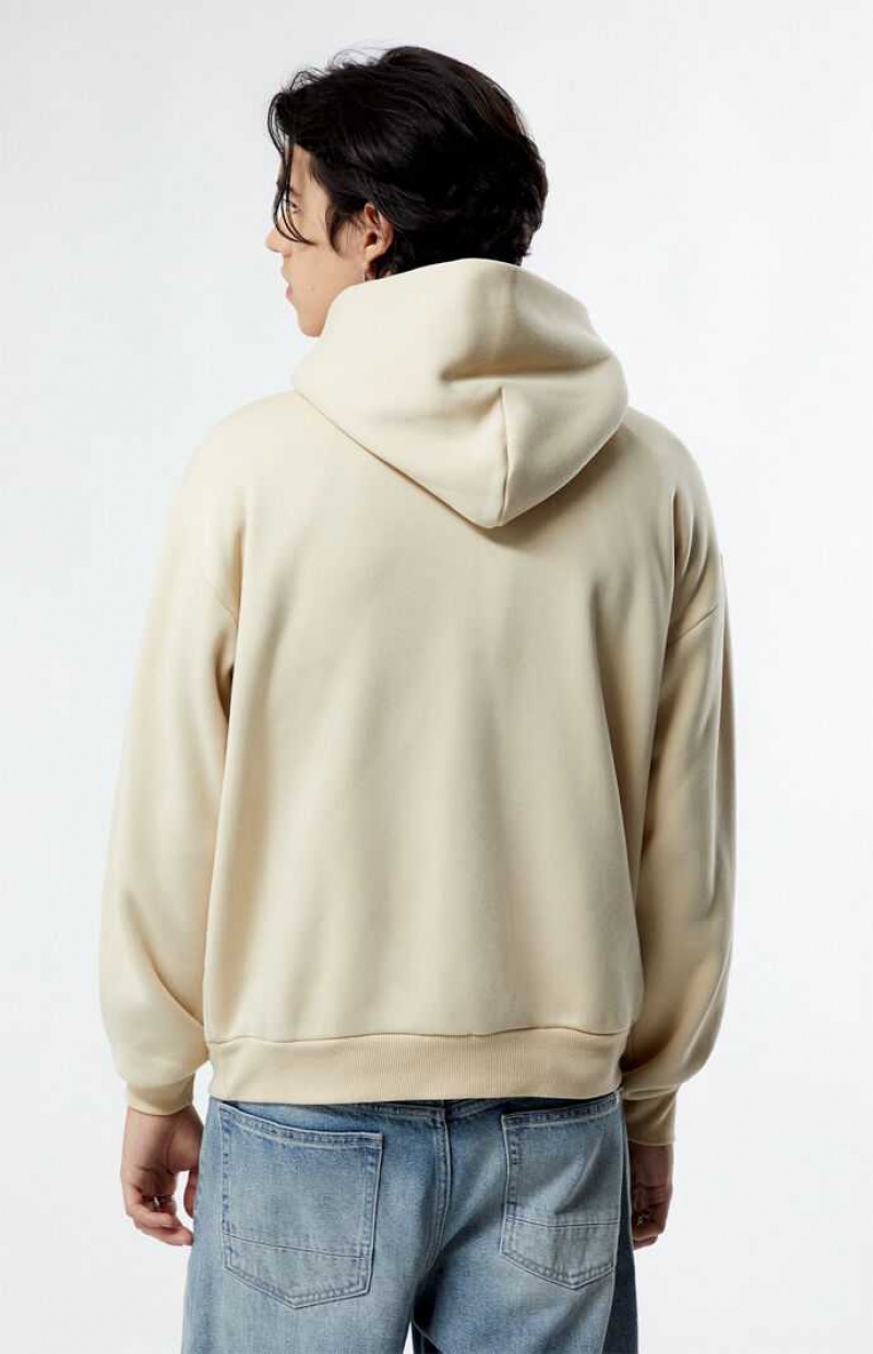 Sudadera con Capucha PacSun Solid Hombre FOG | CGBUR0514