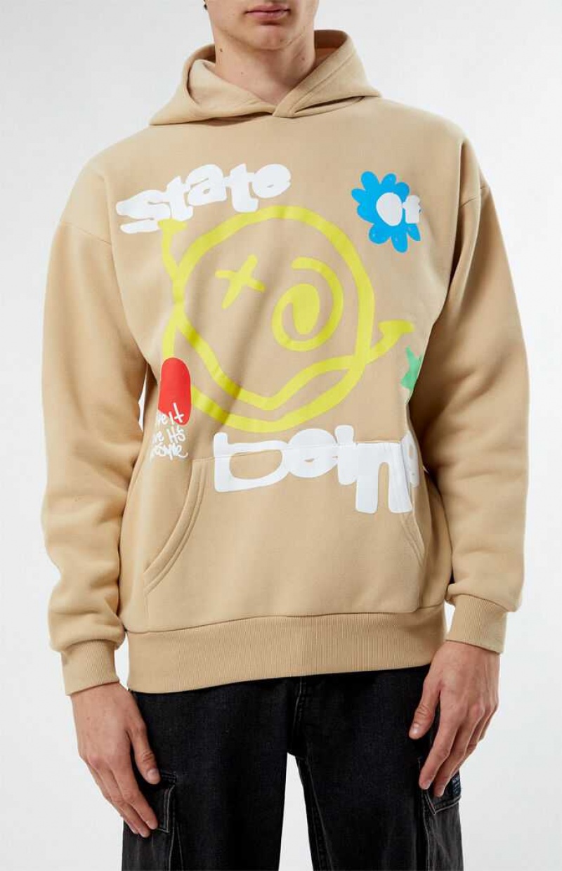 Sudadera con Capucha PacSun Web Of Smiles Puff Hombre Marrones | OEXPZ5198