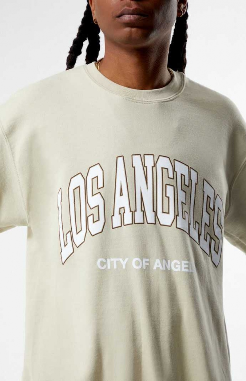 Sudaderas PacSun Los Angeles College Crew Neck Hombre Marrones | VIUEC0935