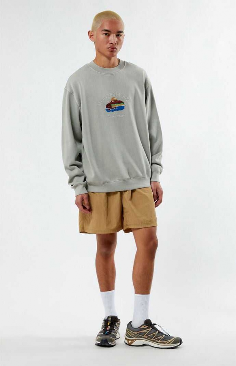 Sudaderas PacSun Monterey Bay Crew Neck Hombre Gris | GUNVO8193