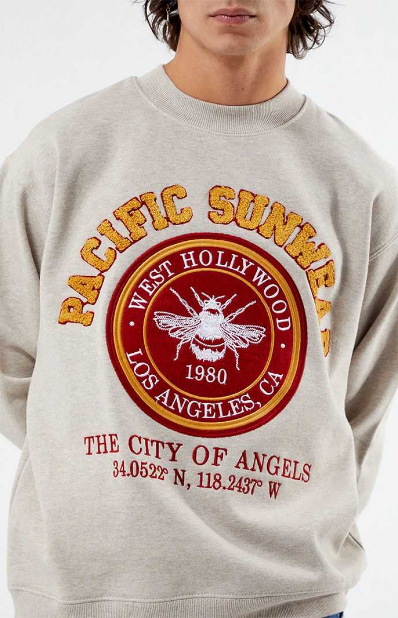 Sudaderas PacSun Pacific Sunwear Chenille Crew Neck Hombre Gris | WCPTV3524