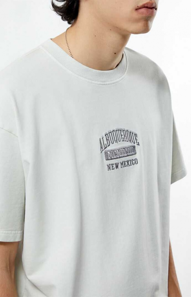 T-shirt PacSun Albuquerque New Mexico Embroidered Hombre Creme | DWNSI0295