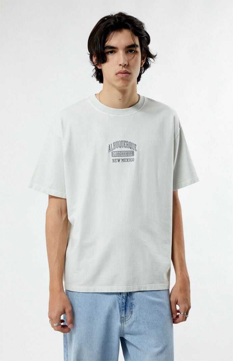 T-shirt PacSun Albuquerque New Mexico Embroidered Hombre Creme | DWNSI0295