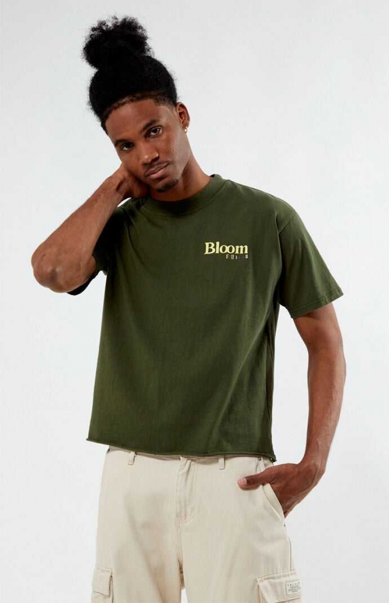 T-shirt PacSun Bloom Cropped Hombre Verde Oliva | SXPOC5920