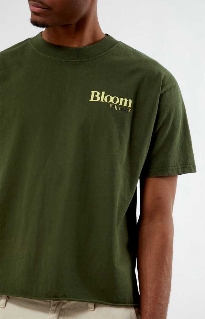 T-shirt PacSun Bloom Cropped Hombre Verde Oliva | SXPOC5920