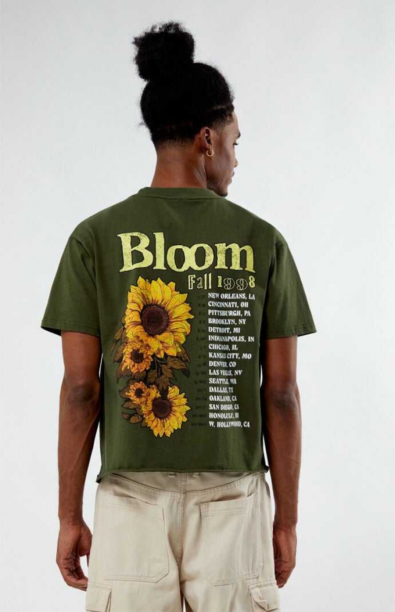 T-shirt PacSun Bloom Cropped Hombre Verde Oliva | SXPOC5920