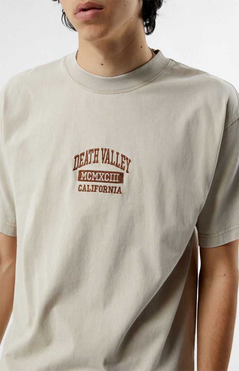 T-shirt PacSun Death Valley Embroidered Hombre Marrones | GJFVI3450